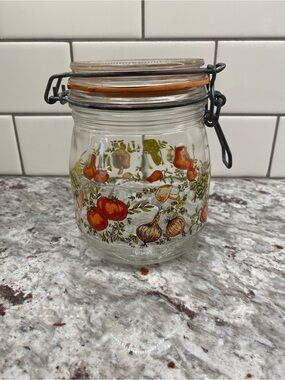 Vintage Arc France Glass Canister Jar Spice Of Life Hinged Metal Bail 1970's